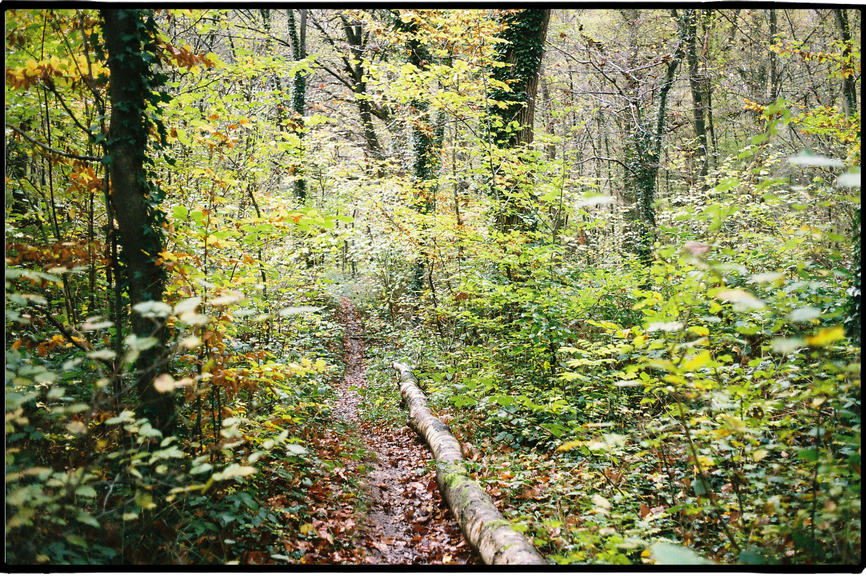 a day of wandering