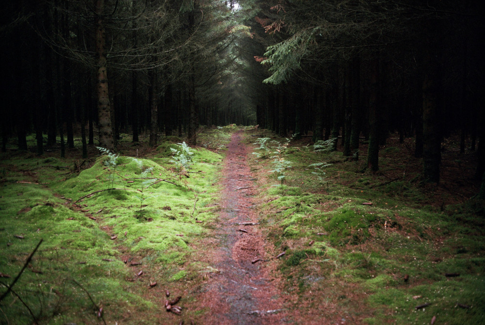 Deep Time Walk